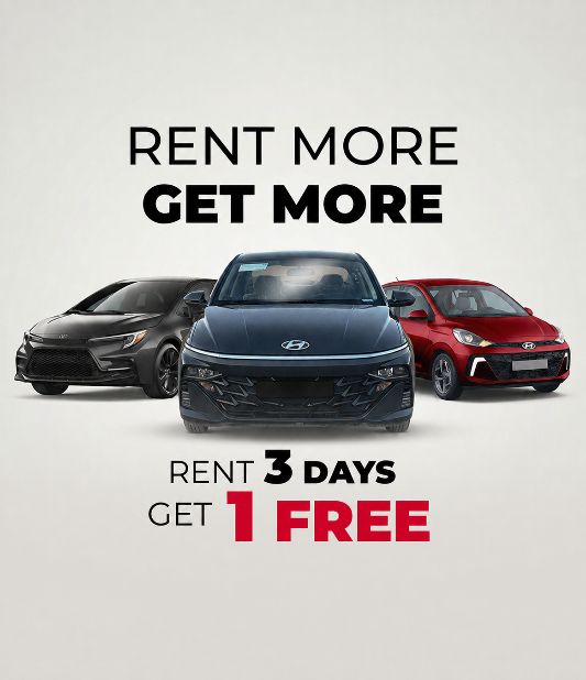 Avis Partner