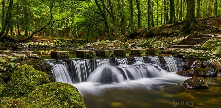 Tollymore Forest Park near Newcastle, County Down