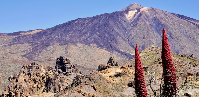 Berge und Flora auf Teneriffa