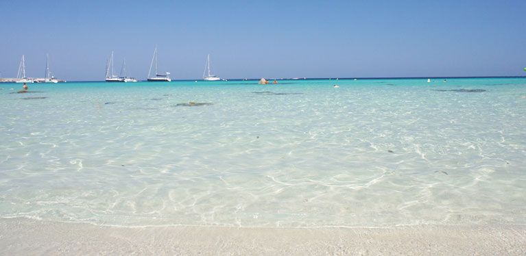 une plage de sable blanc
