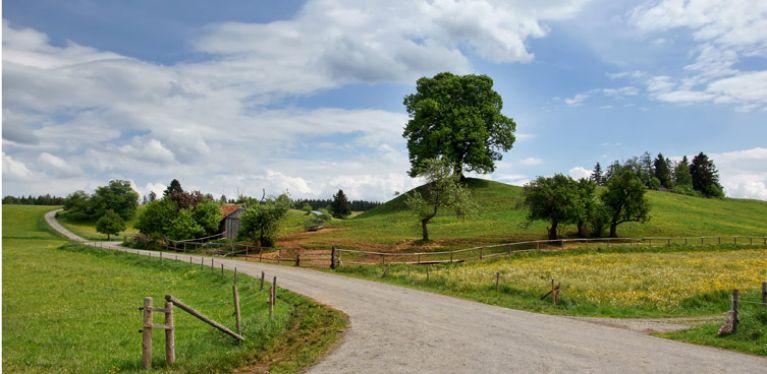 Route sinueuse en campagne allemande 