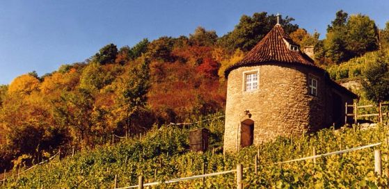Saale-Unstrut Wine Route