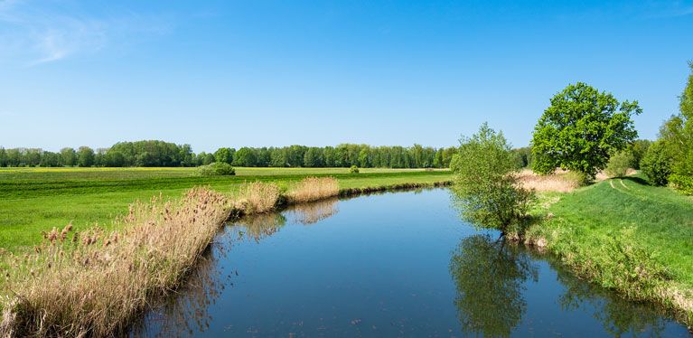 Spreewaldlandschaft