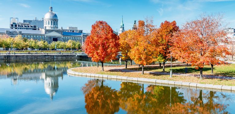 Marché Bonsecours