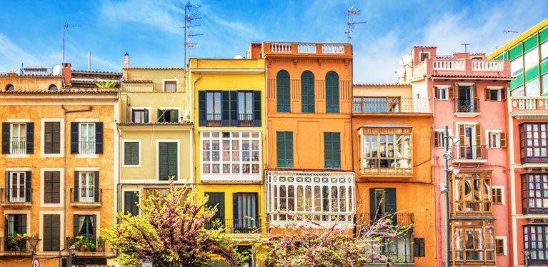Palma