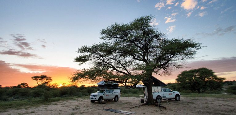 Save on Avis Safari Vehicles this green season