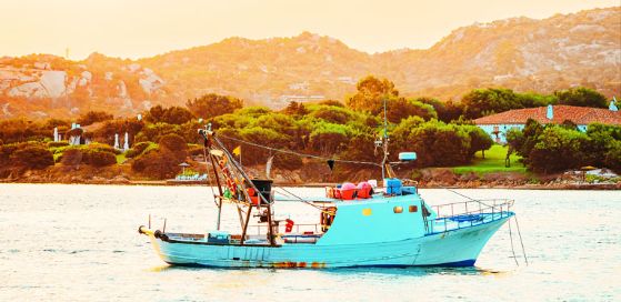 Sardinien Fur Geniesser Die Besten Fischlokale Der Insel