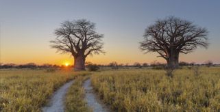 Avis Botswana Locations