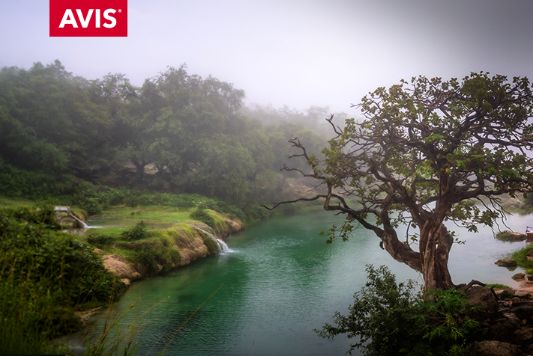 Planning a Getaway to Salalah?