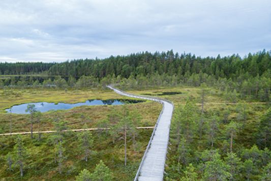 Experience nature wonderland in Finland