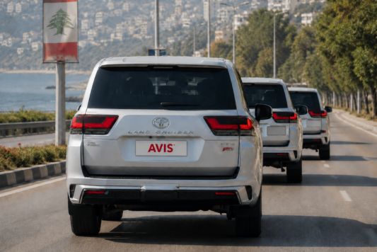 Flex Lease: Business Vehicle Leasing & Fleet Solutions