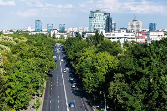 avis inchirieri auto