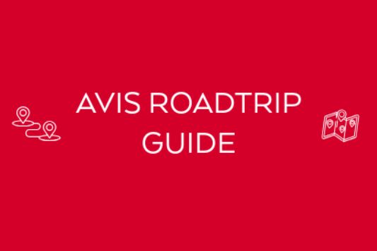 Avis Roadtrip Guide