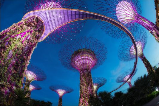 Singapore Attraction Pass