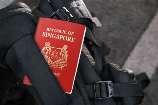 Singaporean/PR/Work Permit Holders: