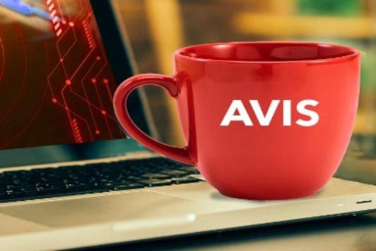 Avis And Budget Embark On A Journey Of Excellence In 2024