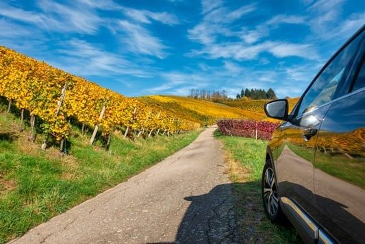 avis inchirieri auto