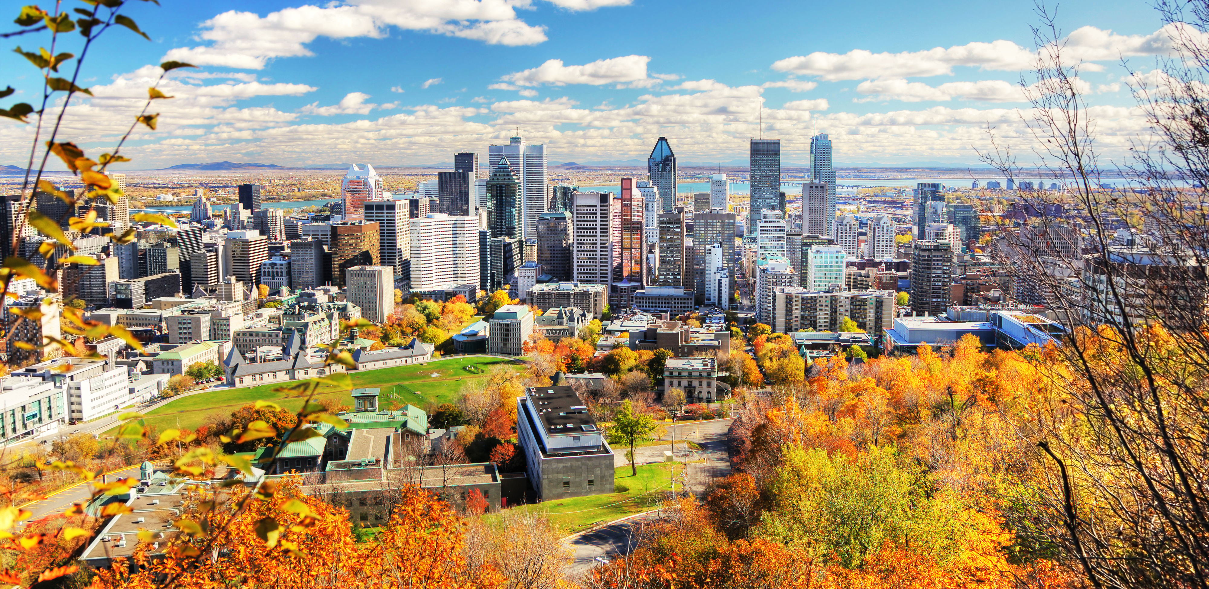 Montreal skyline