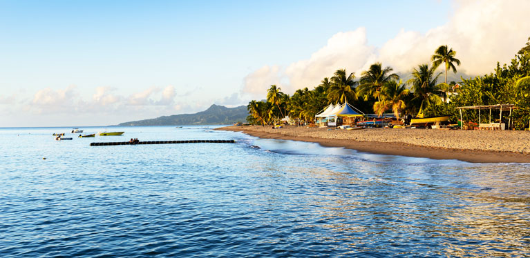 Avis location de voiture Martinique