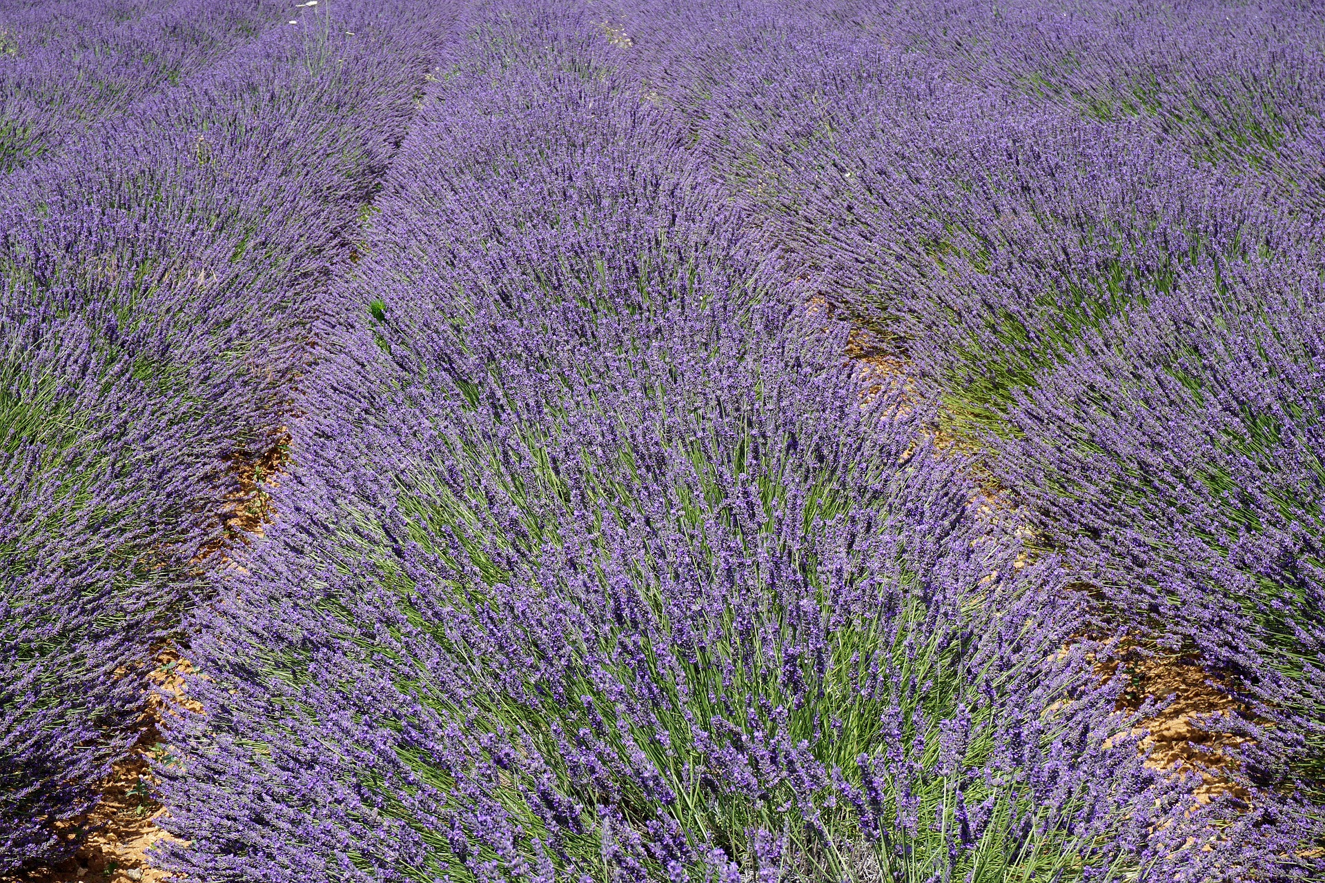 Aix-en-Provence en France