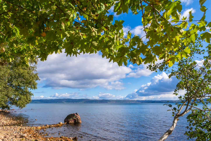 Car Hire Sweden with Avis. Step into a premium Avis rental car at locations across Sweden.