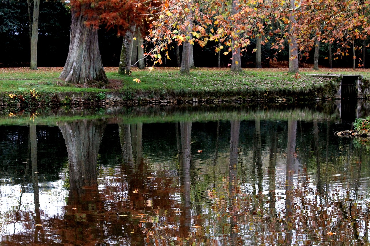 LA LOCATION DE VOITURE À RAMBOUILLET