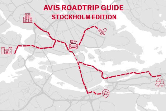 Avis Roadtrip Guide