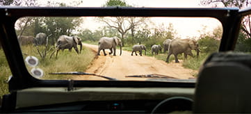 Find your freedom in South Africa with Avis