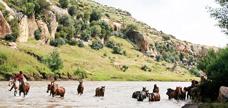 Car hire in Lesotho with Avis