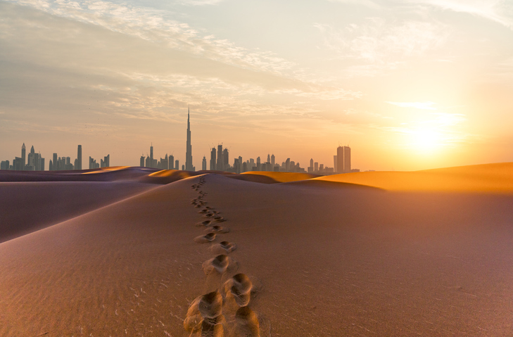 Discover Dubai with Avis