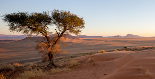 Namib Desert