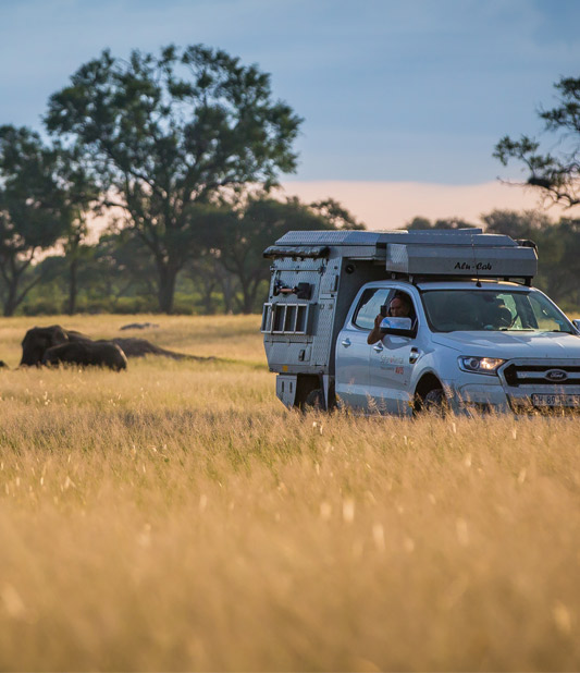 safari for rental